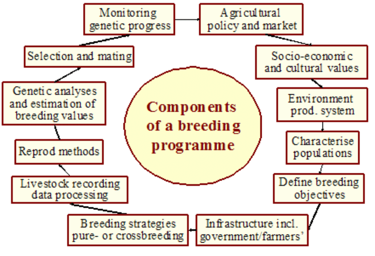 Breeding Program