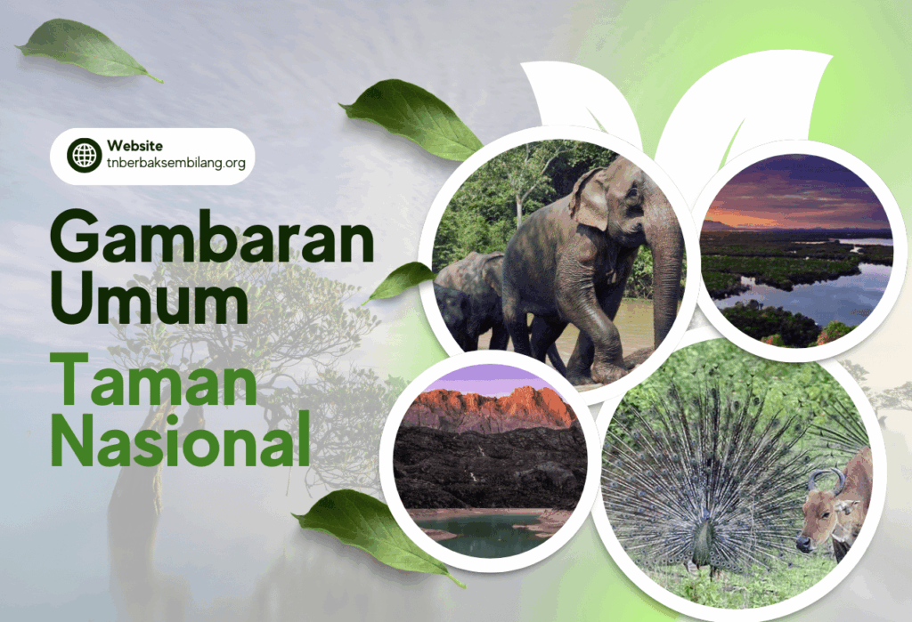 Gambaran Umum Taman Nasional Indonesia