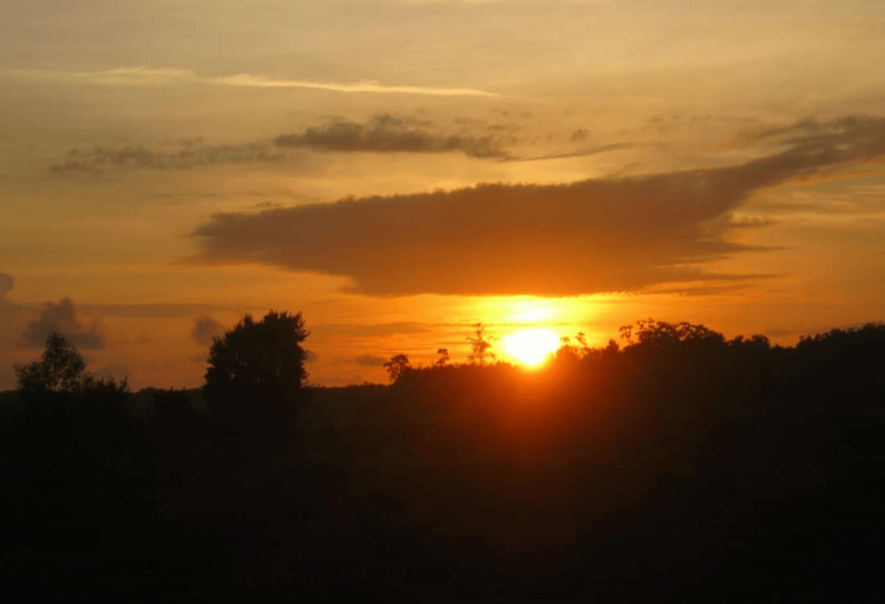 Jelajah Alam dan Interpretasi