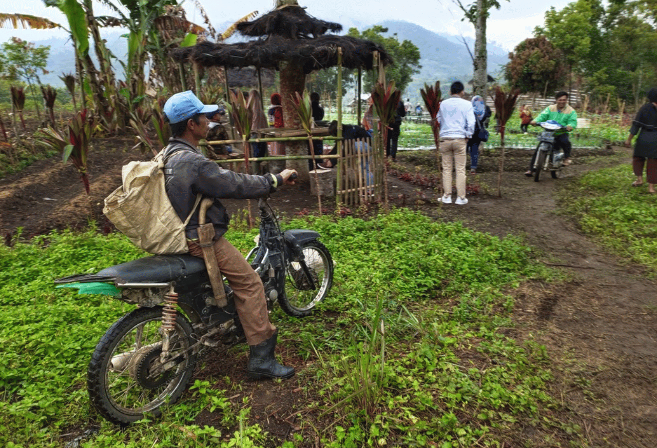 Kampanye dan Festival Konservasi