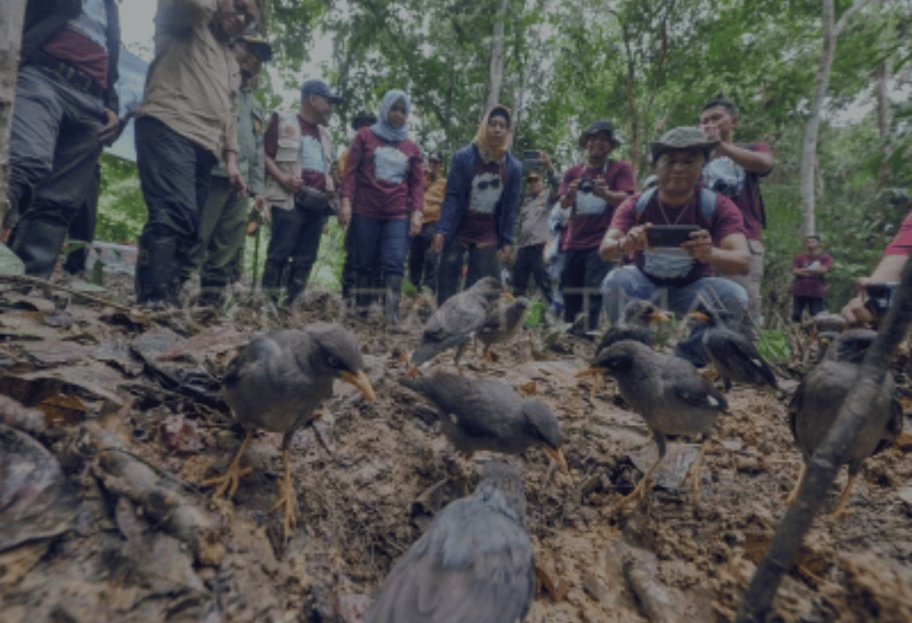 Kemitraan Masyarakat dan Ekowisata Berkelanjutan