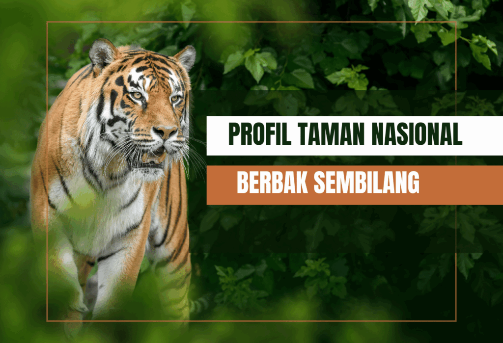 Profil Taman Nasional Berbak Sembilang