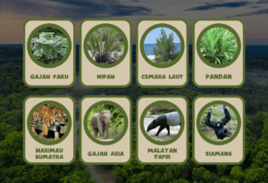 Satwa Taman Nasional Berbak Sembilang