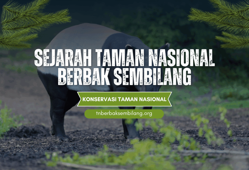 Sejarah Taman Nasional Berbak Sembilang