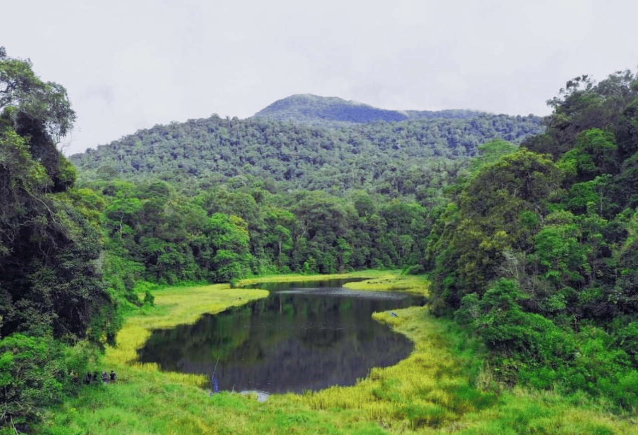 TAMAN NASIONAL BATANG GADIS