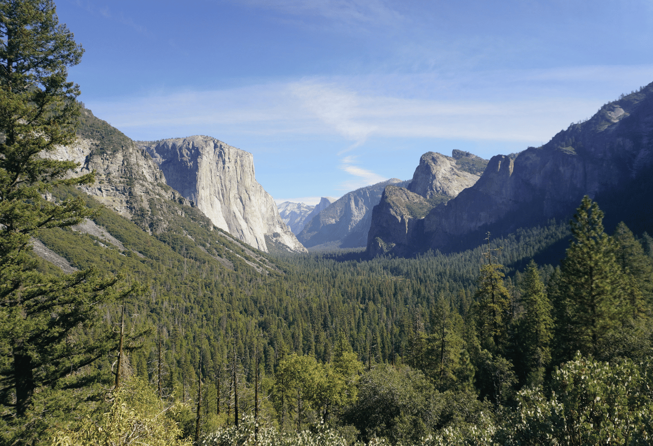 TAMAN NASIONAL LORENTZ