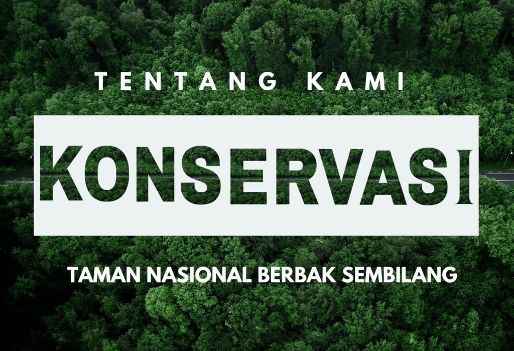 Tentang Kami Taman Nasional Berbak Sembilang
