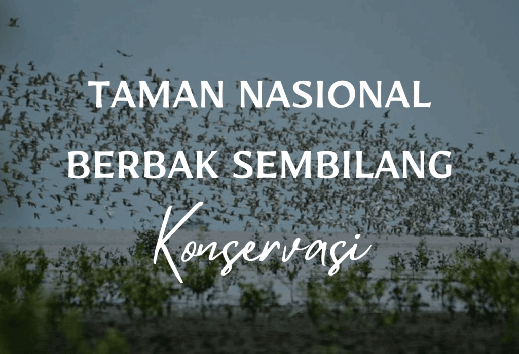 Tujuan Taman Nasional Berbak Sembilang